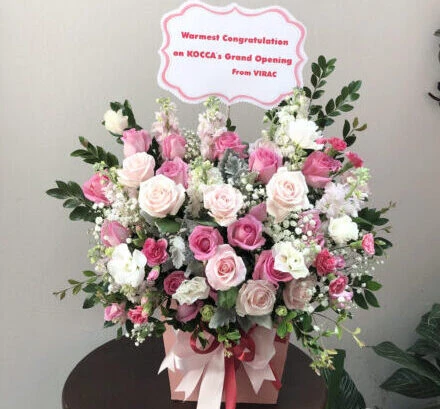 Tìm hiểu ý nghĩa loài hoa phi yến