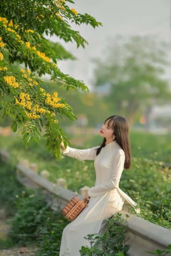 Hoa sưa trắng trời tháng Ba…