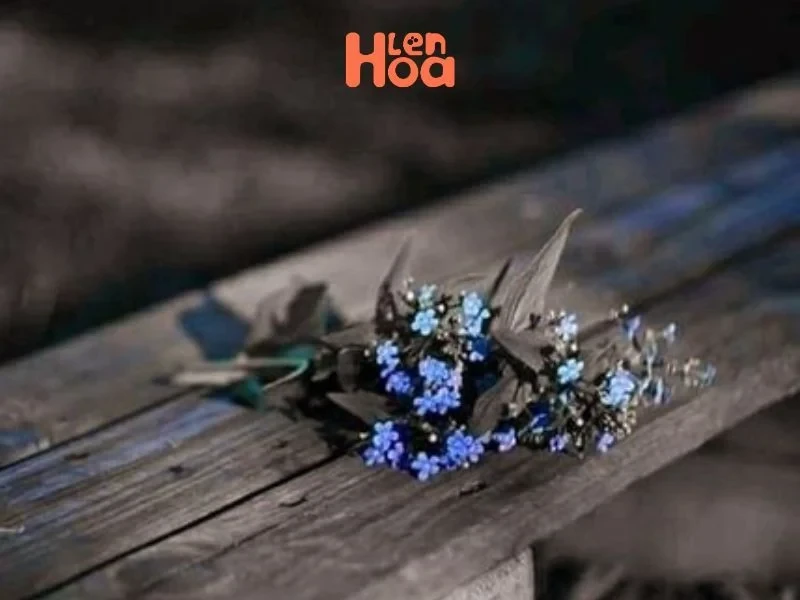 Vén màn sự thật về ý nghĩa và nguồn gốc của hoa Lưu Ly