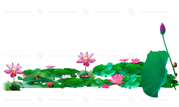 Ảnh hoa sen vector file tách nền PNG thiết kế logo, background