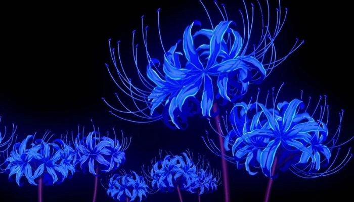 Khám Phá Hoa Bỉ Ngạn Xanh: Biểu Tượng Của Sự Tươi Đẹp