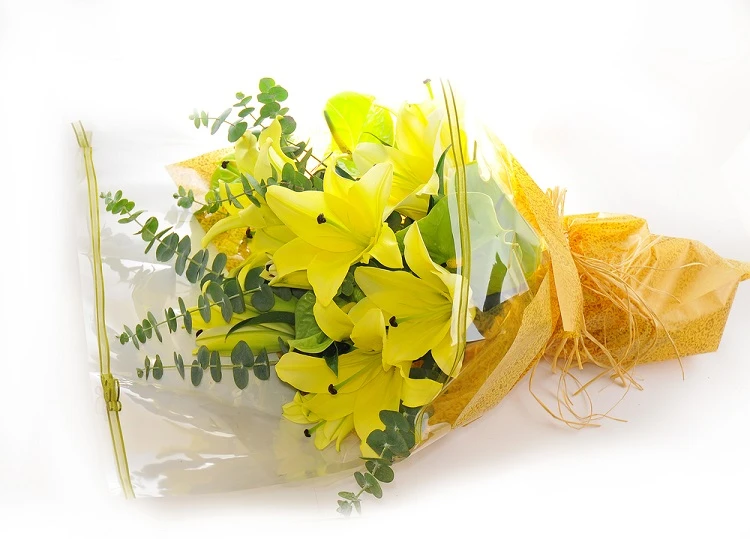 Ý nghĩa hoa bách hợp là gì? Ý nghĩa các màu hoa bách hợp