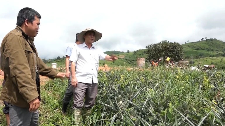 Tây Nguyên khẳng định là vùng đất có nhiều sản phẩm đặc thù của riêng mình