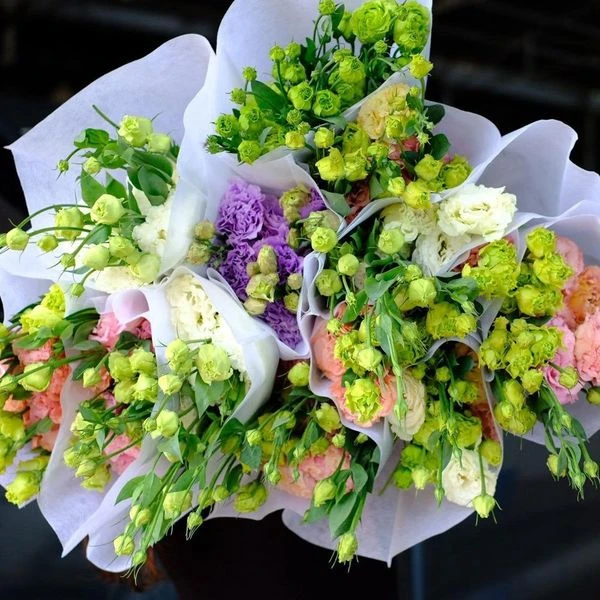 Hoa Cát Tường (Hoa Lan Tường) - Loài Hoa Của Sự May Mắn