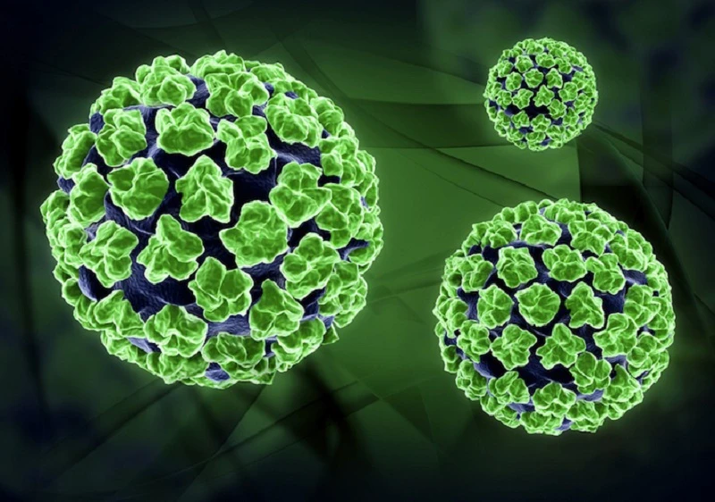 Nốt chân tay miệng: Nguyên nhân và cách phòng ngừa