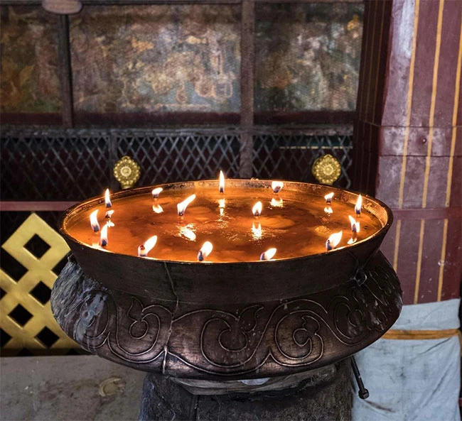 Đây chính là loài vật quan trọng nhất đối với người Tây Tạng