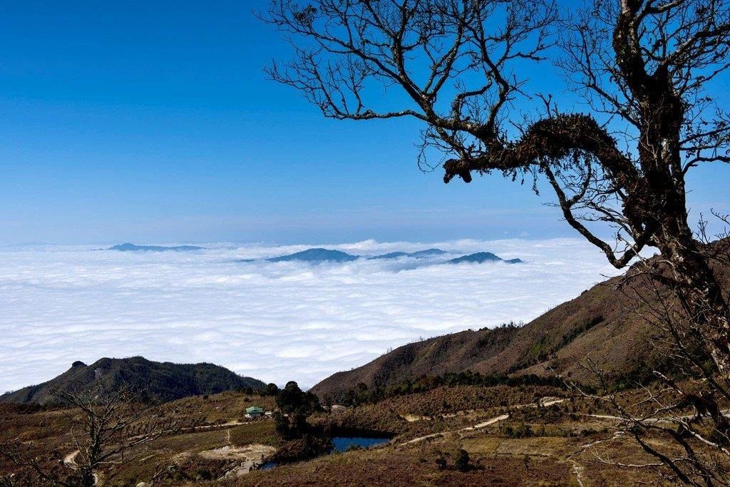Kinh nghiệm trekking Tây Côn Lĩnh đầy đủ, chi tiết nhất cho người mới đi
