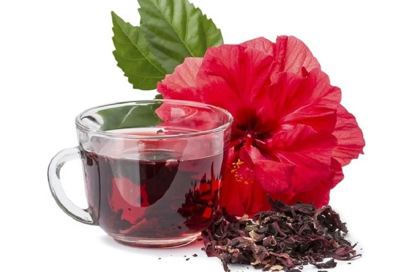 Hoa dâm bụt: dược liệu tự nhiên tốt cho sức khỏe