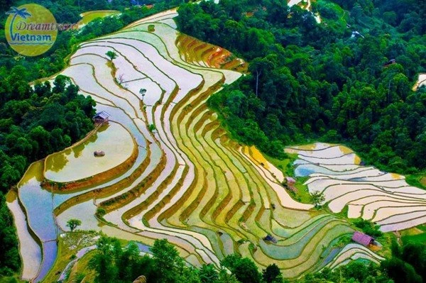 9 Điểm du lịch Tây Bắc nổi tiếng nhất định phải đến trong đời