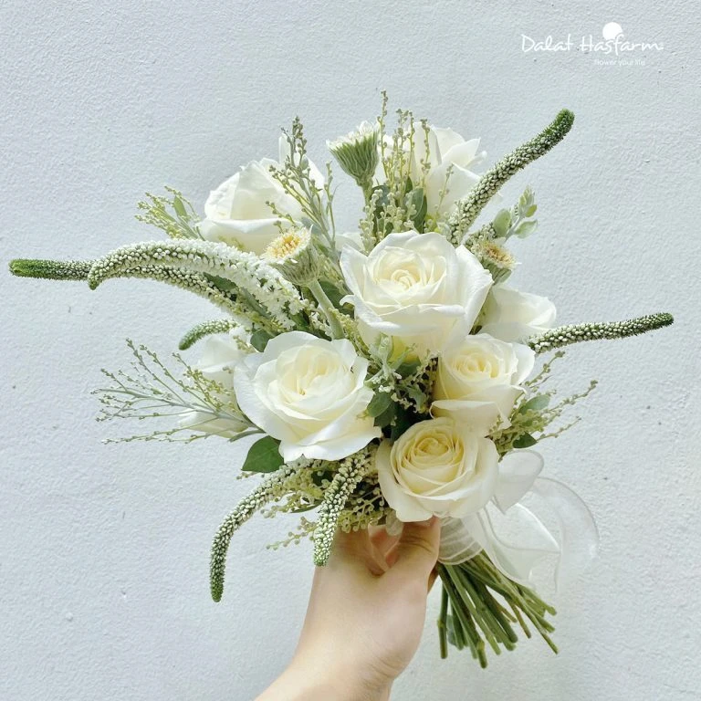 Hoa Hồng Trắng: Ý nghĩa, lịch sử và những dịp tặng thích hợp