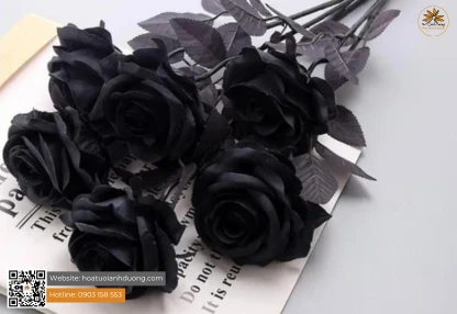 NHỮNG ĐIỀU BẠN CHƯA BIẾT VỀ HOA HỒNG ĐEN