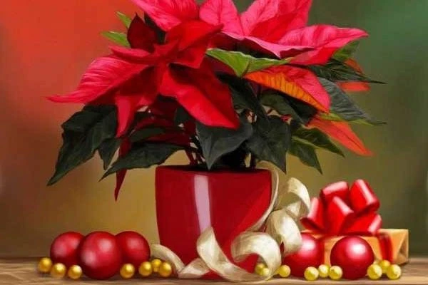 Khám Phá Vẻ Đẹp Của Hoa Trạng Nguyên