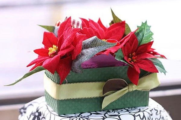 Ý nghĩa hoa Trạng Nguyên và cách trồng, chăm sóc đúng nhất