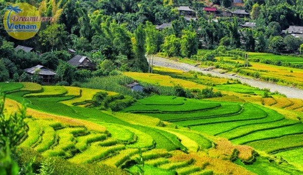 9 Điểm du lịch Tây Bắc nổi tiếng nhất định phải đến trong đời