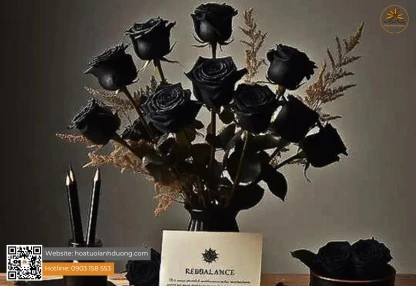 NHỮNG ĐIỀU BẠN CHƯA BIẾT VỀ HOA HỒNG ĐEN