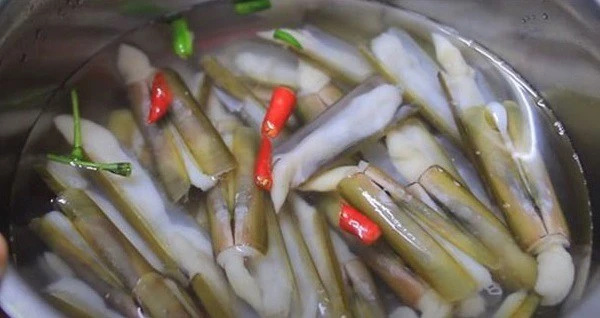 Khám Phá Dinh Dưỡng Từ Ốc Móng Tay Xào Me