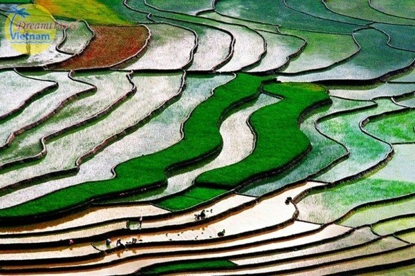 9 Điểm du lịch Tây Bắc nổi tiếng nhất định phải đến trong đời