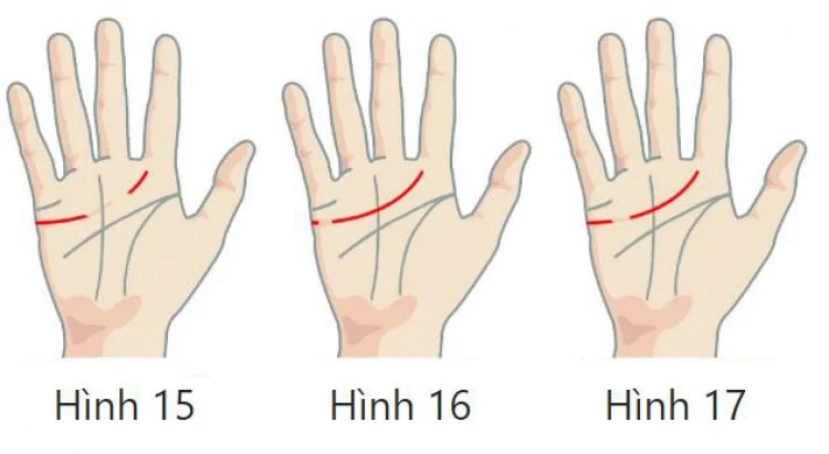 Xem Chỉ Tay Đường Tình Duyên Biết Ngay Hôn Nhân Nam Nữ, Tốt Hay Xấu