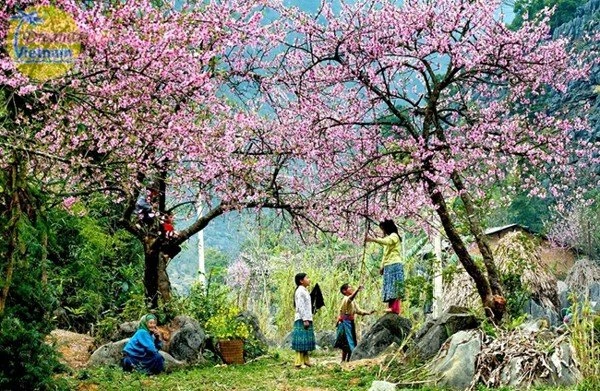 9 Điểm du lịch Tây Bắc nổi tiếng nhất định phải đến trong đời