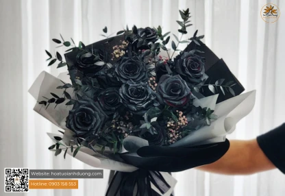 NHỮNG ĐIỀU BẠN CHƯA BIẾT VỀ HOA HỒNG ĐEN