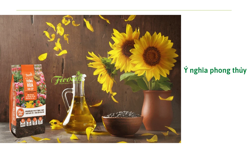 Ý Nghĩa Hoa Hướng Dương Trong Cuộc Sống