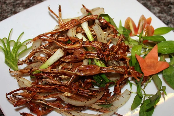 Danh sách 30 món ăn miền Tây hấp dẫn nhất định phải thử - iVIVU.com