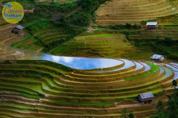 9 Điểm du lịch Tây Bắc nổi tiếng nhất định phải đến trong đời