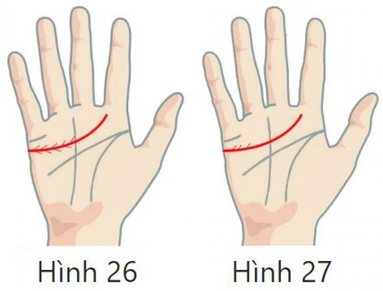 Xem Chỉ Tay Đường Tình Duyên Biết Ngay Hôn Nhân Nam Nữ, Tốt Hay Xấu
