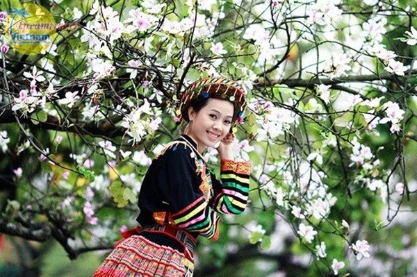 9 Điểm du lịch Tây Bắc nổi tiếng nhất định phải đến trong đời