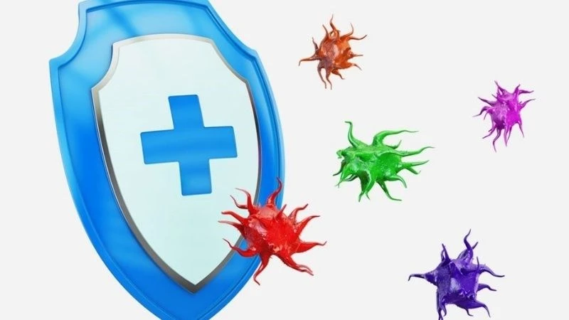 9 tác dụng của hoa đu đủ đực ngâm mật ong, cách làm và lưu ý