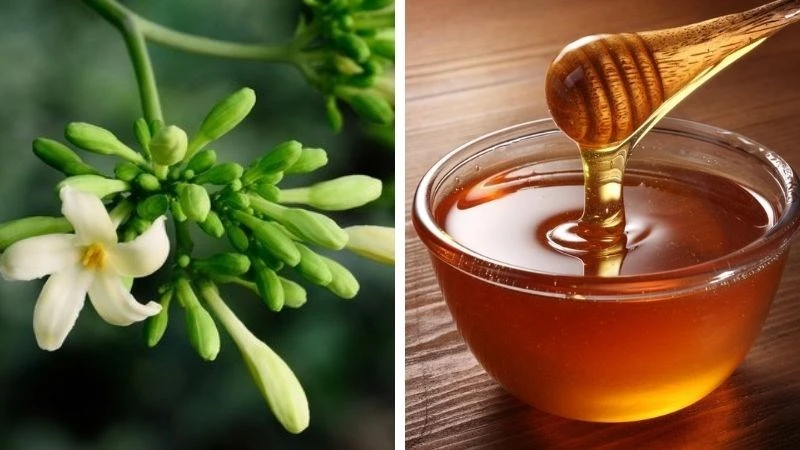 9 tác dụng của hoa đu đủ đực ngâm mật ong, cách làm và lưu ý