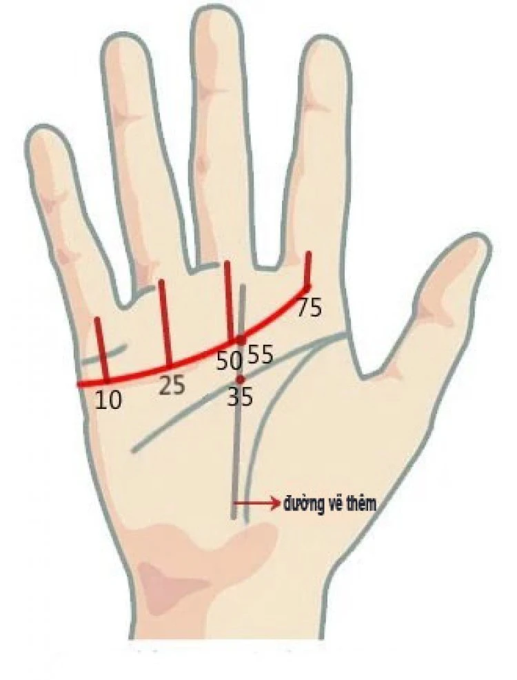 Xem Chỉ Tay Đường Tình Duyên Biết Ngay Hôn Nhân Nam Nữ, Tốt Hay Xấu