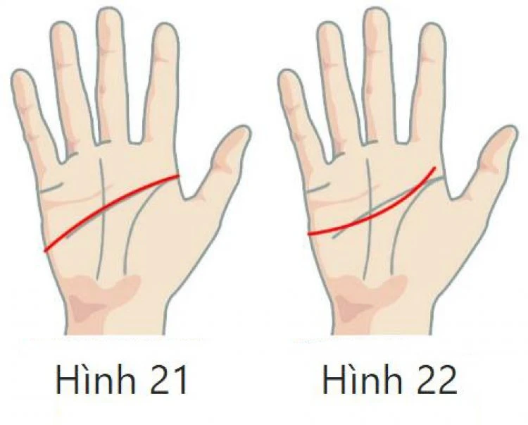 Xem Chỉ Tay Đường Tình Duyên Biết Ngay Hôn Nhân Nam Nữ, Tốt Hay Xấu