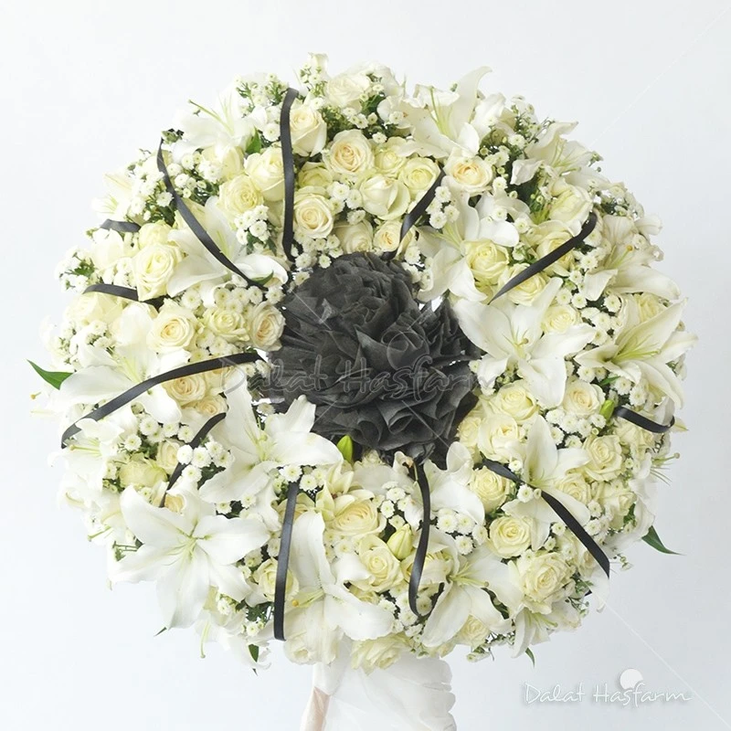 Hoa Hồng Trắng: Ý nghĩa, lịch sử và những dịp tặng thích hợp