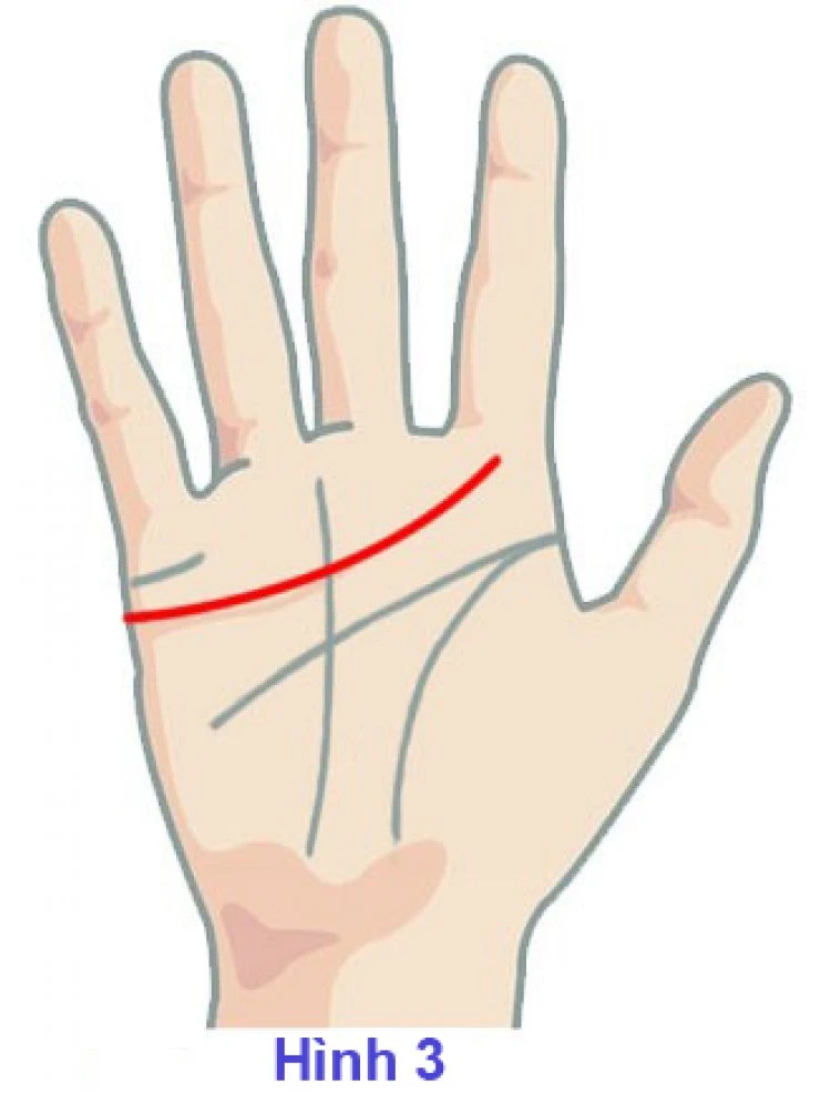 Xem Chỉ Tay Đường Tình Duyên Biết Ngay Hôn Nhân Nam Nữ, Tốt Hay Xấu