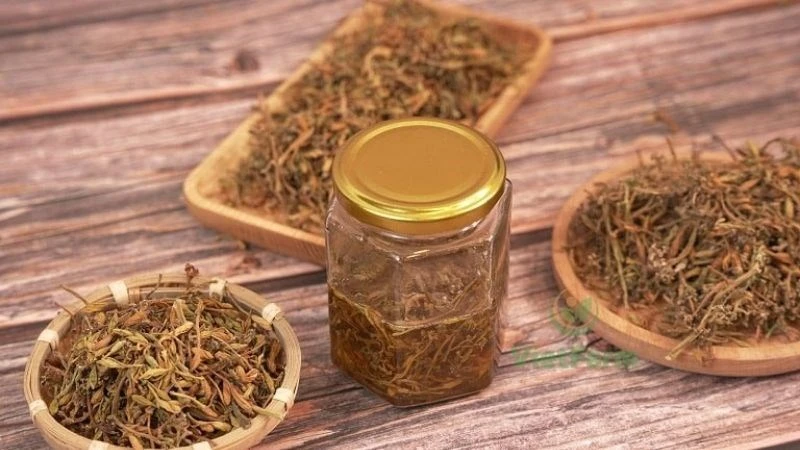 9 tác dụng của hoa đu đủ đực ngâm mật ong, cách làm và lưu ý