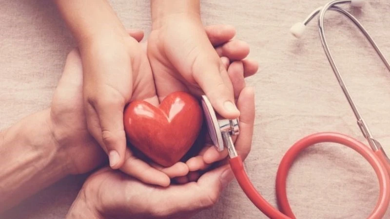 9 tác dụng của hoa đu đủ đực ngâm mật ong, cách làm và lưu ý