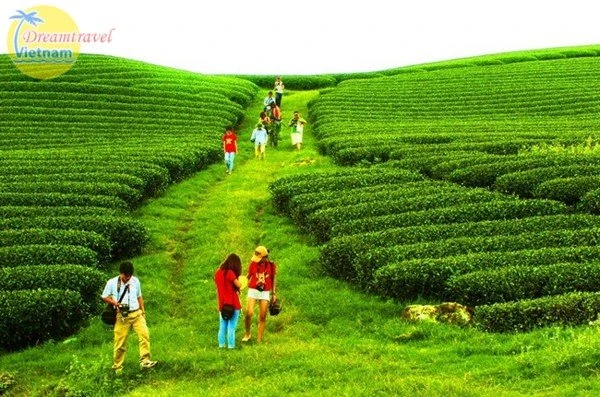 9 Điểm du lịch Tây Bắc nổi tiếng nhất định phải đến trong đời