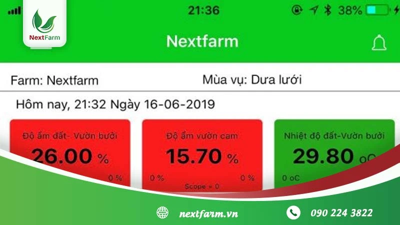 Kỹ thuật trồng măng tây cho người mới bắt đầu