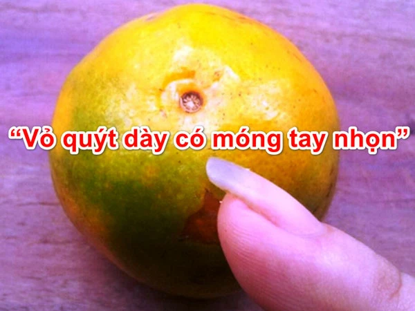 Ý nghĩa câu tục ngữ Vỏ quýt dày có móng tay nhọn