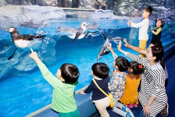 CẬP NHẬT GIÁ VÉ THUỶ CUNG LOTTE WORLD TÂY HỒ
