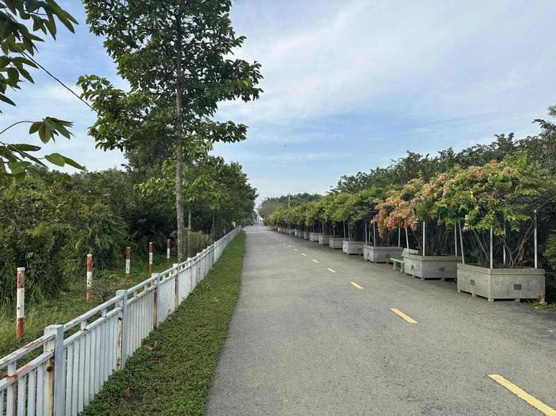 Review mọi thứ về công viên văn hóa Gò Vấp