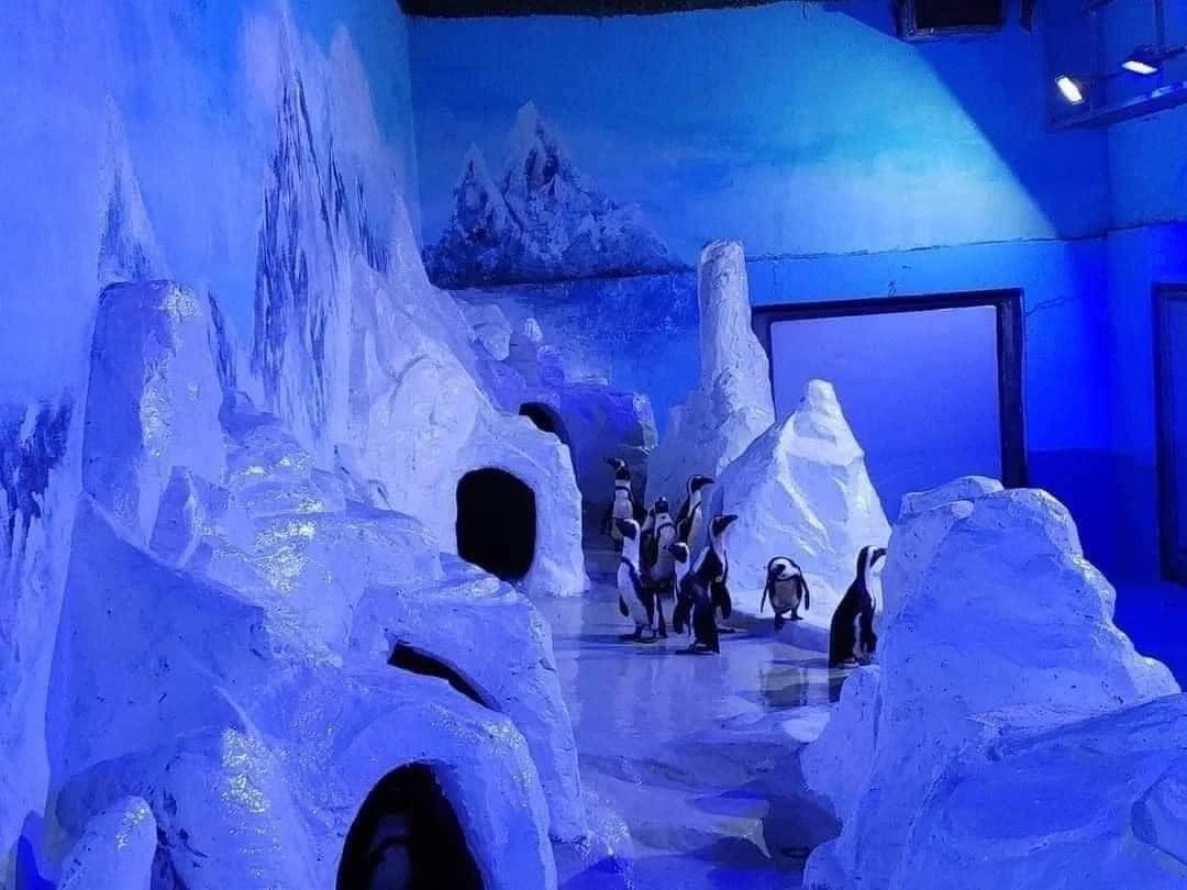 CẬP NHẬT GIÁ VÉ THUỶ CUNG LOTTE WORLD TÂY HỒ