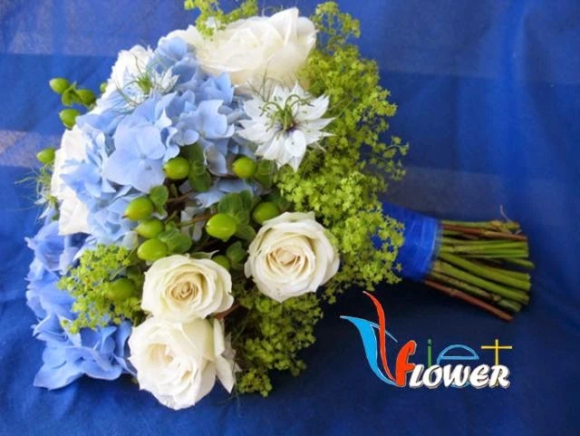 Ý nghĩa hoa Cẩm tú cầu (hoa Tử dương)