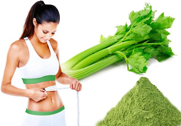 Kinh nghiệm uống bột cần tây giảm cân hiệu quả
