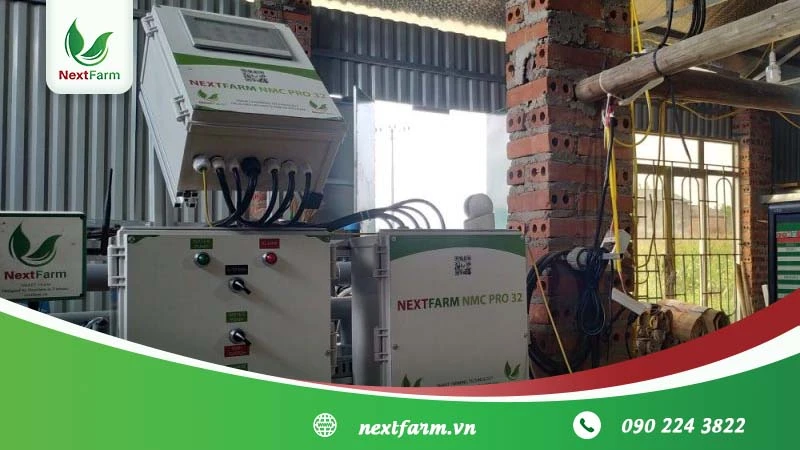 Kỹ thuật trồng măng tây cho người mới bắt đầu