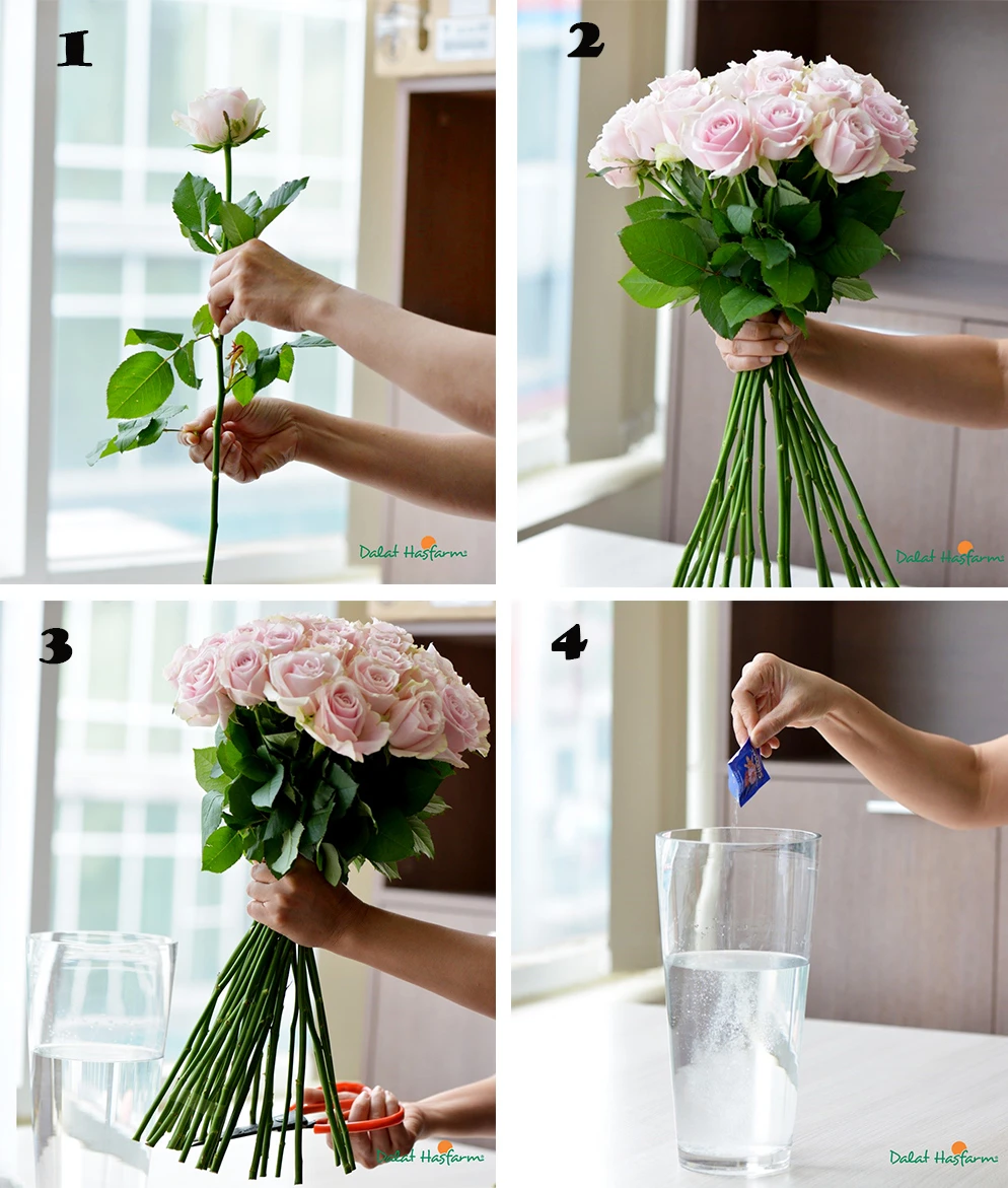 Hướng dẫn cách cắm hoa Hồng thả bình cực đơn giản