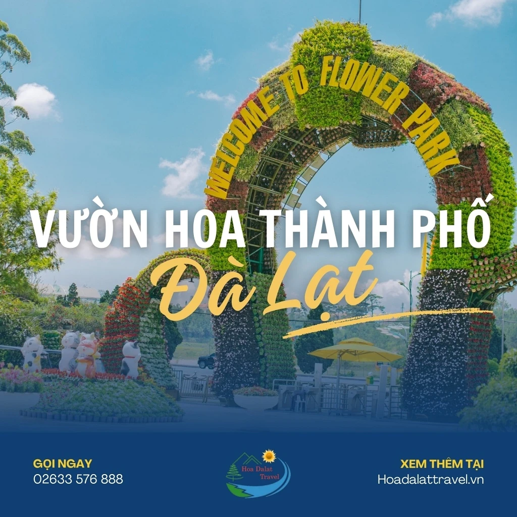 Khám Phá Vườn Hoa Thành Phố Đà Lạt Đẹp Như Mơ