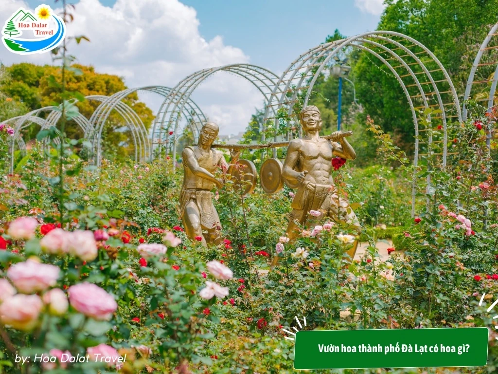 Vườn Hoa Thành Phố Đà Lạt - Giá Vé Và Giờ Mở Cửa Tham Quan 2024