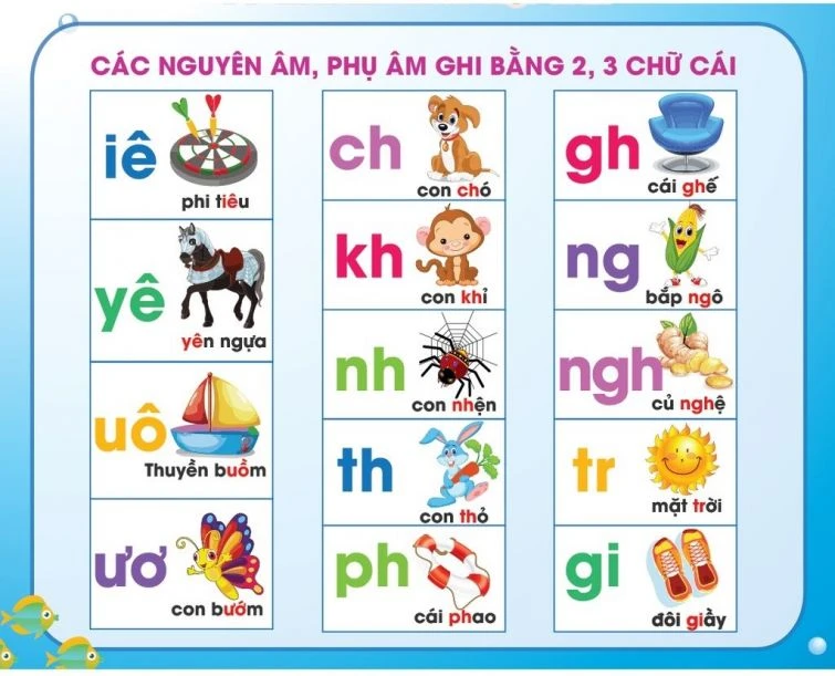 [2023 CẬP NHẬP] Bảng chữ cái tiếng Việt chuẩn Bộ Giáo Dục mới nhất